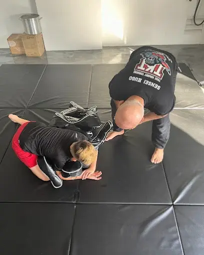 Training methodology step by step atyour home.